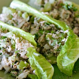 Skinny Zesty Salmon Salad