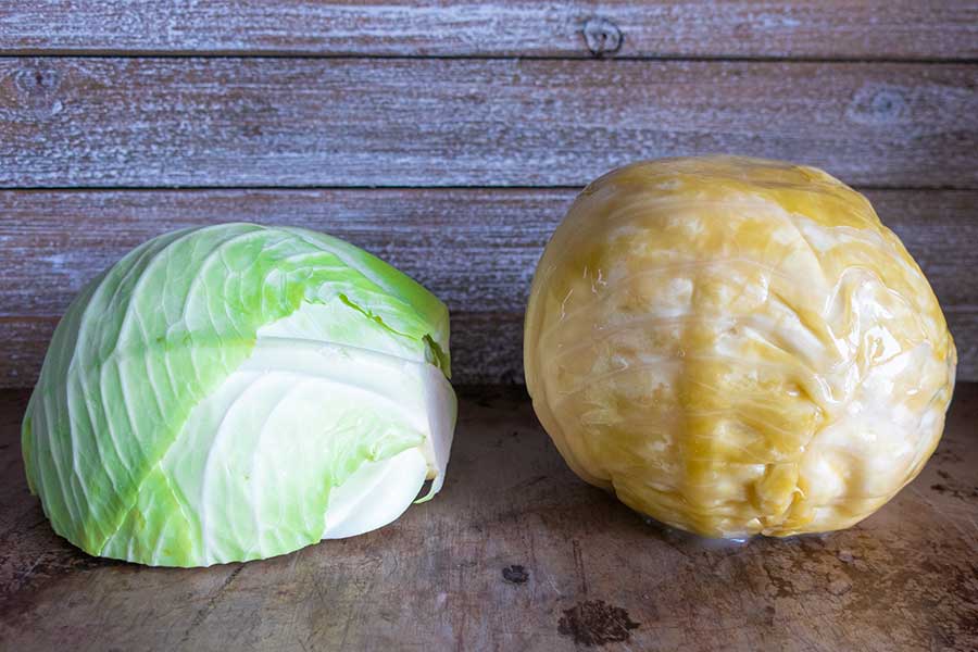 green cabbage vs sour cabbage