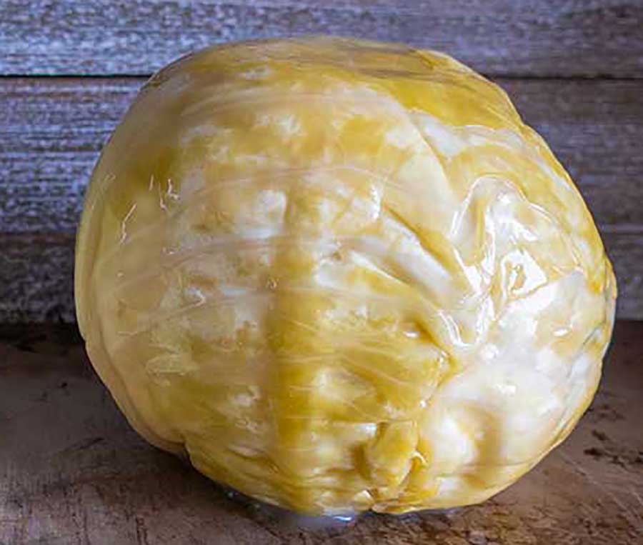 fermented head of cabbage