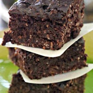 Gluten-Free Chewy Coconut Brownies