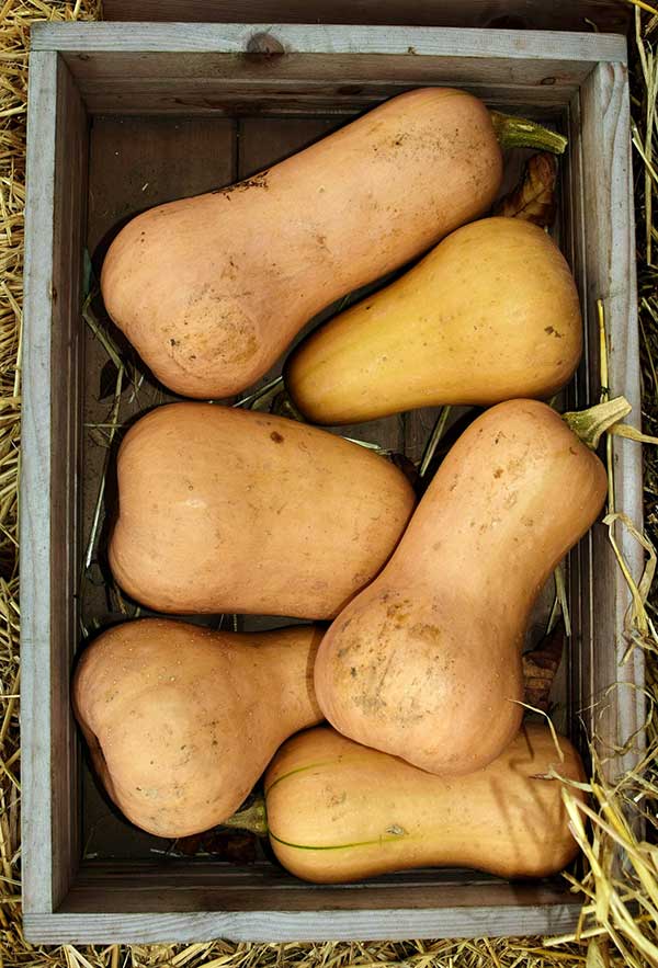 butternut squash in a wooden crate