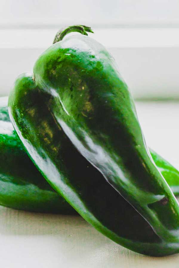 fresh poblano pepper
