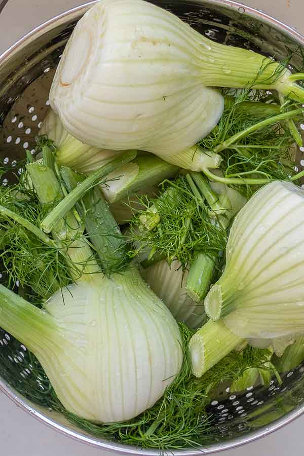 roasted fennel