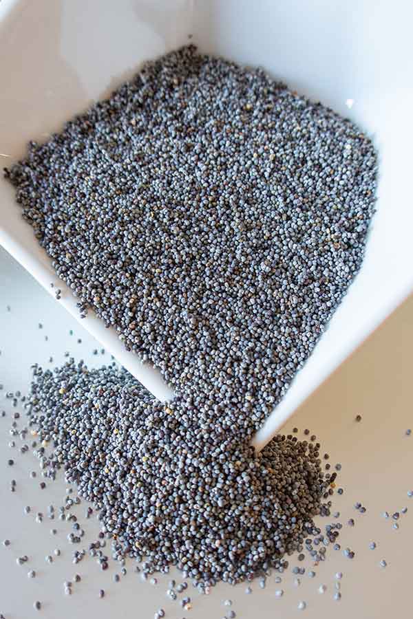 poppy seeds in a white bowl