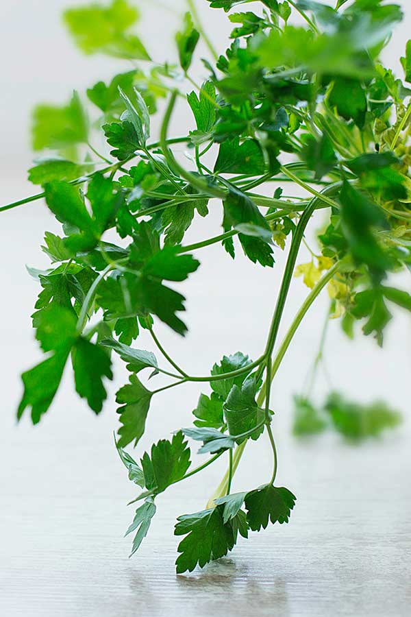 sprig of fresh parsley