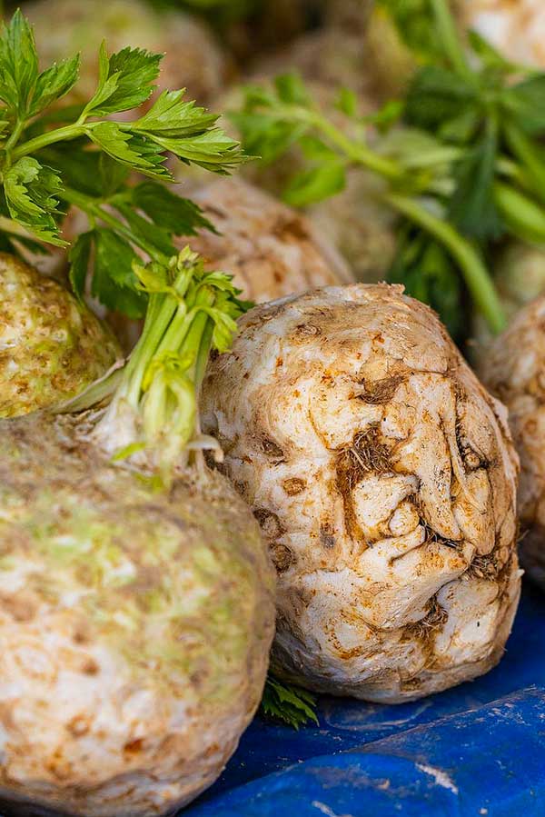 celeriac root