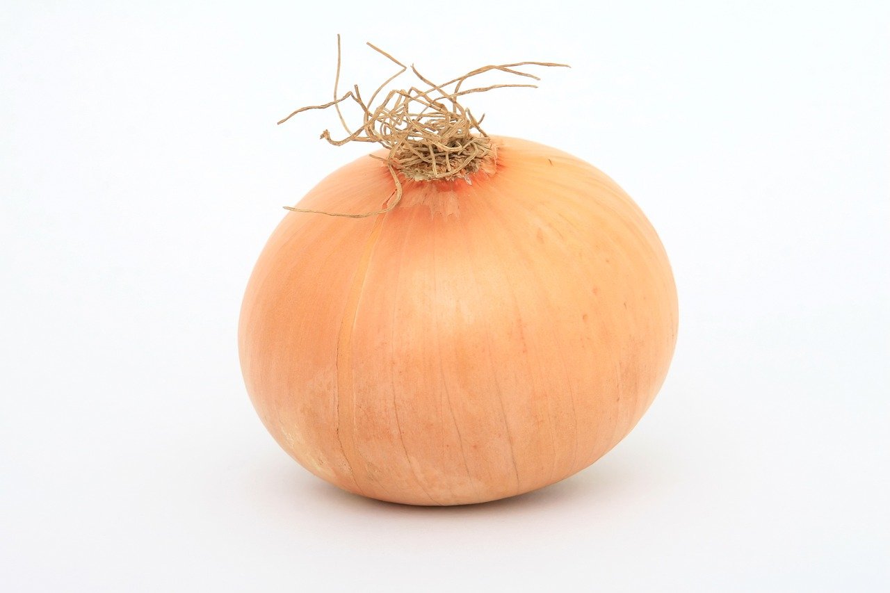 Spanish onion