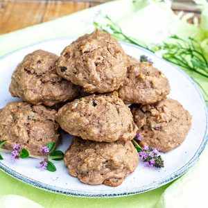 Gluten-Free Teff Energy Cookies