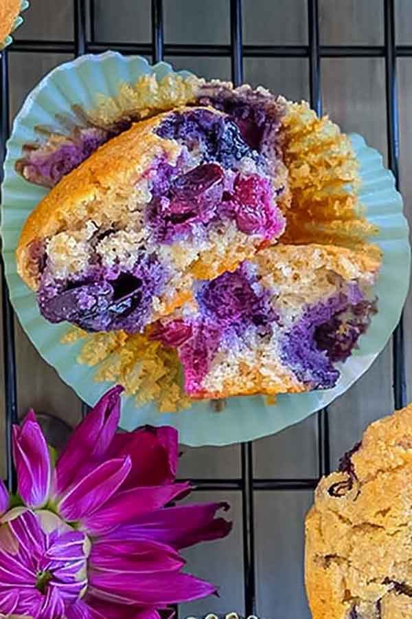 grain free blueberry muffin