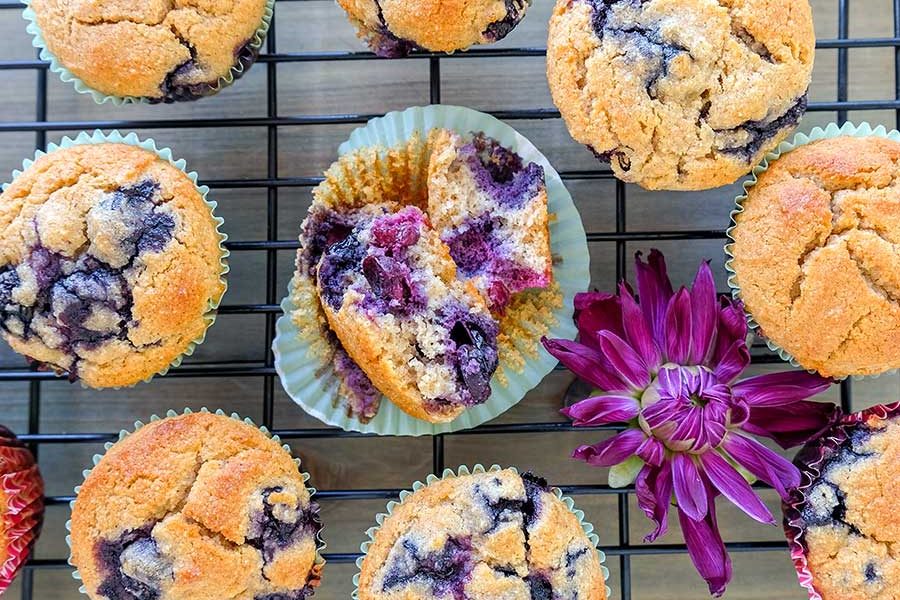 grain free blueberry muffin