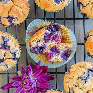 Grain-Free Blueberry Cinnamon Muffins (Paleo, Low-Carb)