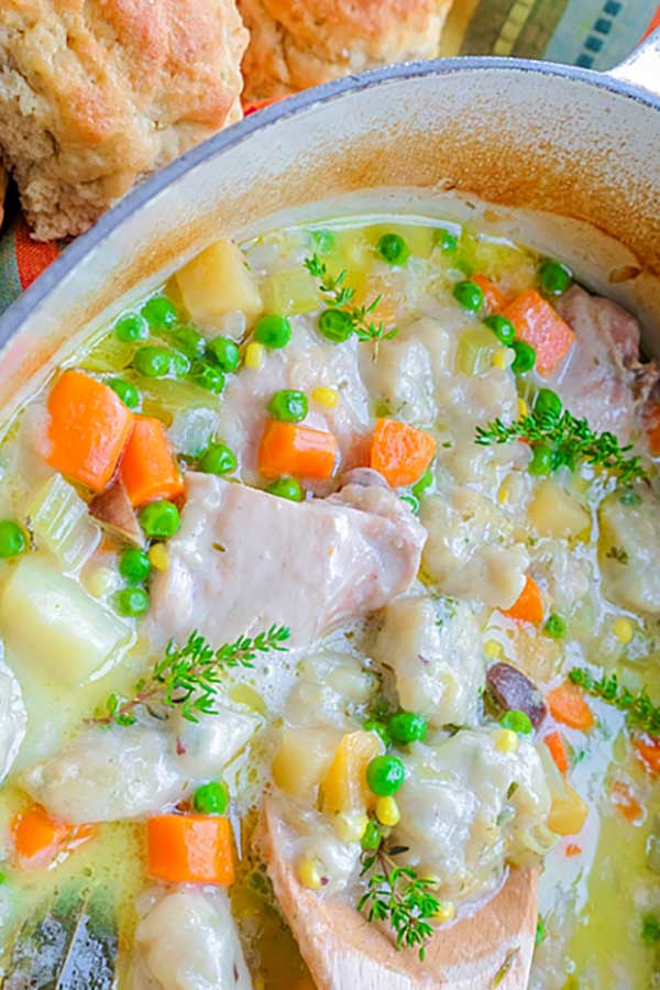 chicken stew with dumplings in a dutch oven