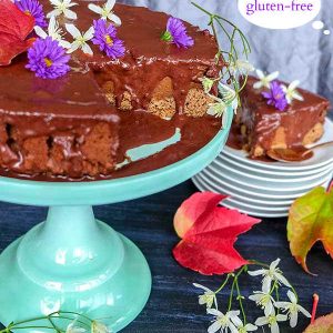 Gluten-Free Chocolate Pumpkin Cake with Ganache