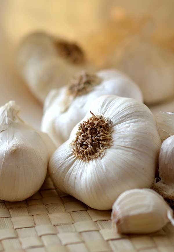 garlic bulbs