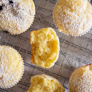 Basic Gluten-Free Muffin Recipe