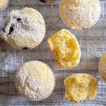 basic muffin, gluten free