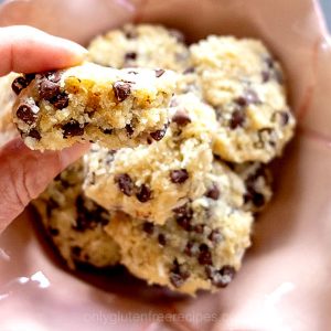 6 Ingredient Grain-Free Coconut Chocolate Chip Cookies