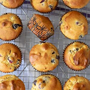 Olive Oil Blueberry Walnut Muffin – Gluten Free