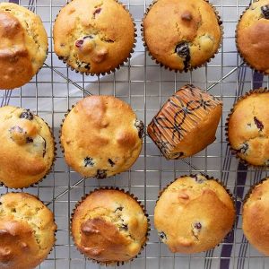 Gluten-Free Olive Oil Blueberry & Walnut Muffin {Dairy-Free}