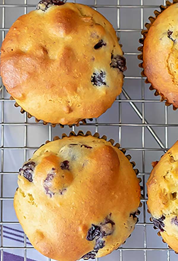 overview of 2 blueberry walnut muffins on a cooling rack