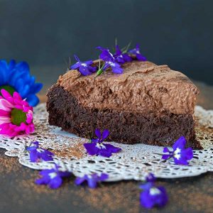 2 Layer Grain-Free Chocolate Cake (Gluten-Free, Nut Free)