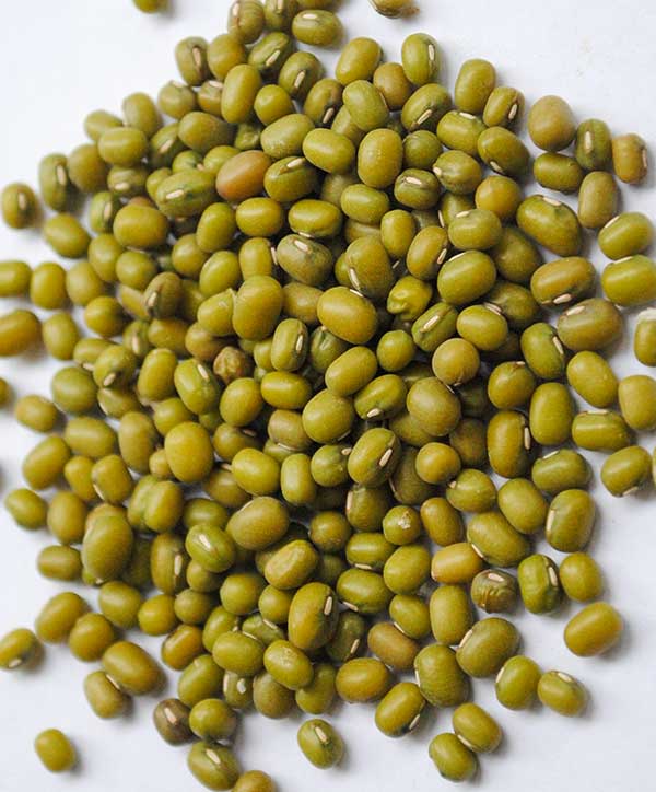 uncooked green mung beans