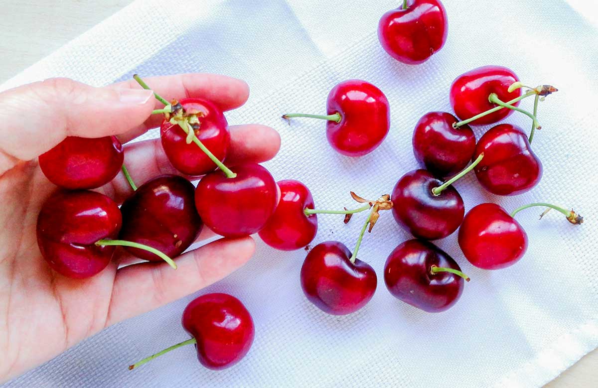 cherries in a hand
