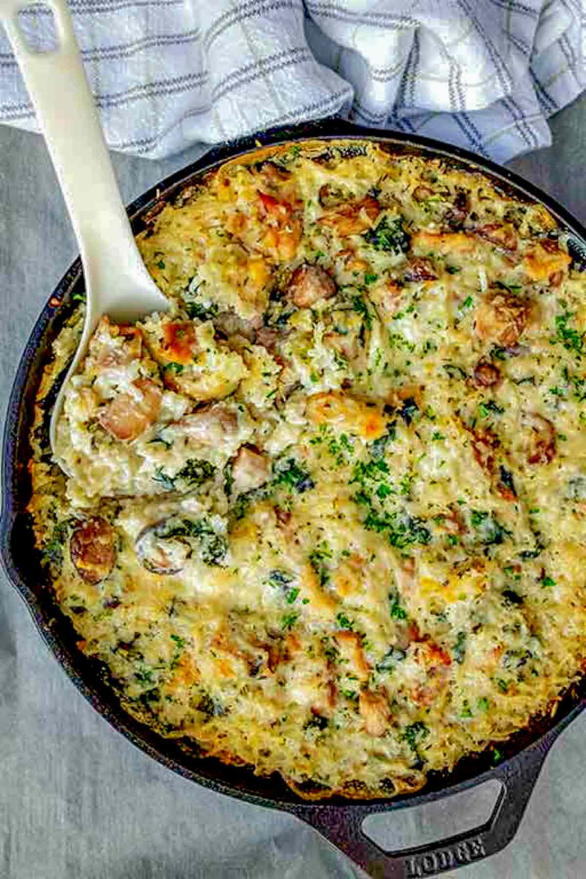 one pan chicken and creamy mushroom casserole in a skillet