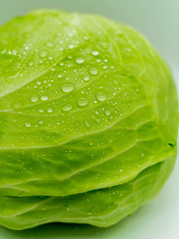 green cabbage