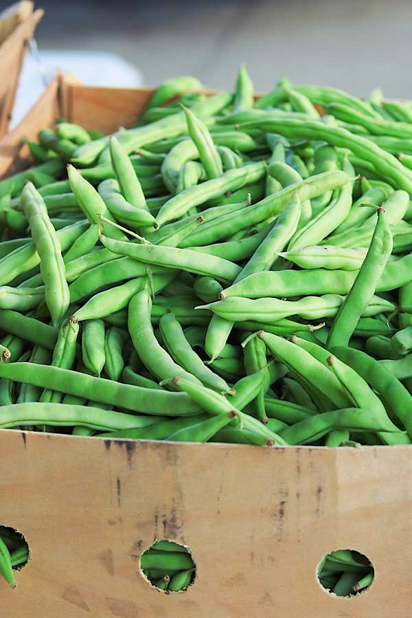 green beans