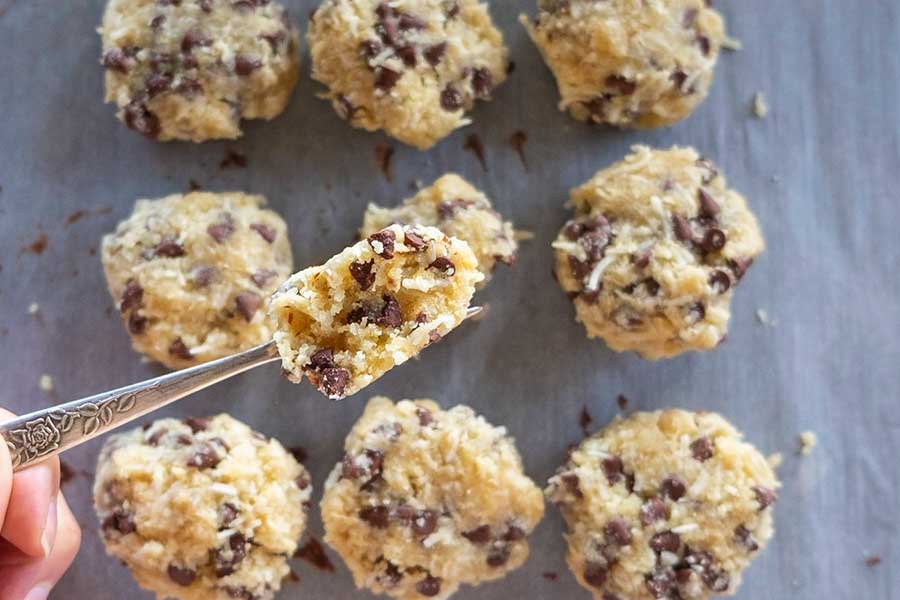 coconut chocolate chip cookie, grain free