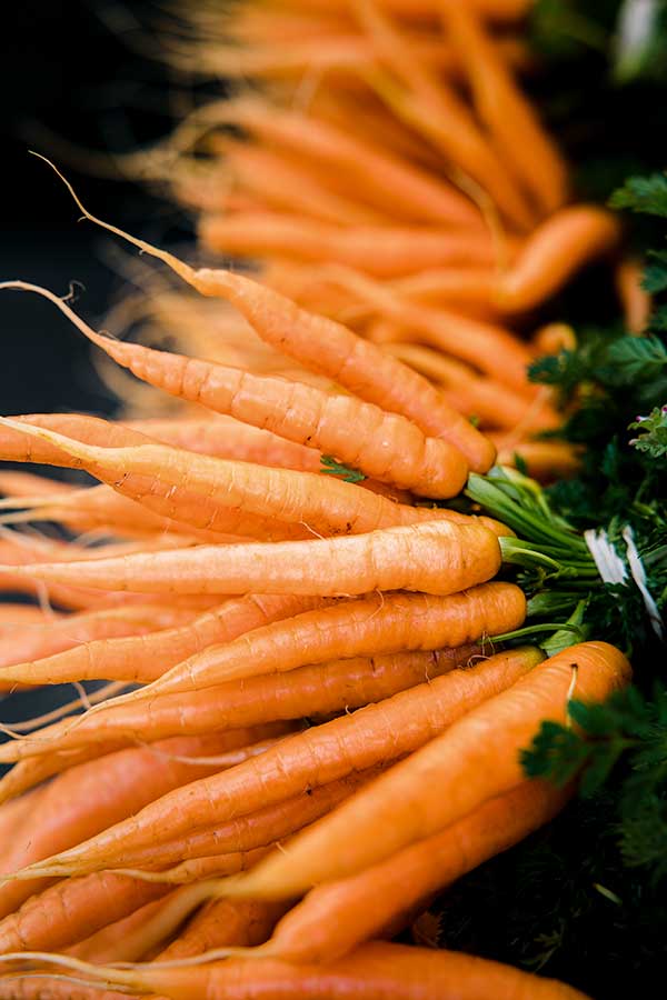 fresh carrots in a bunch