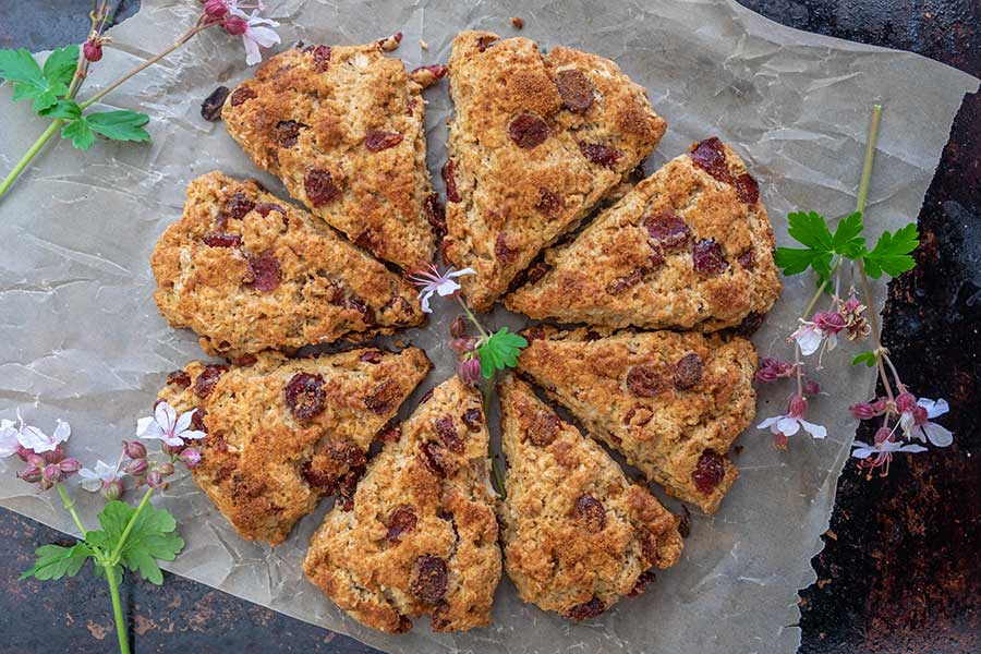 8 gluten free cranberry oat scones