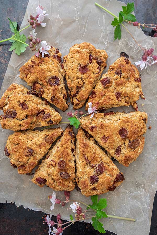 gluten-free cranberry oat triangle scones