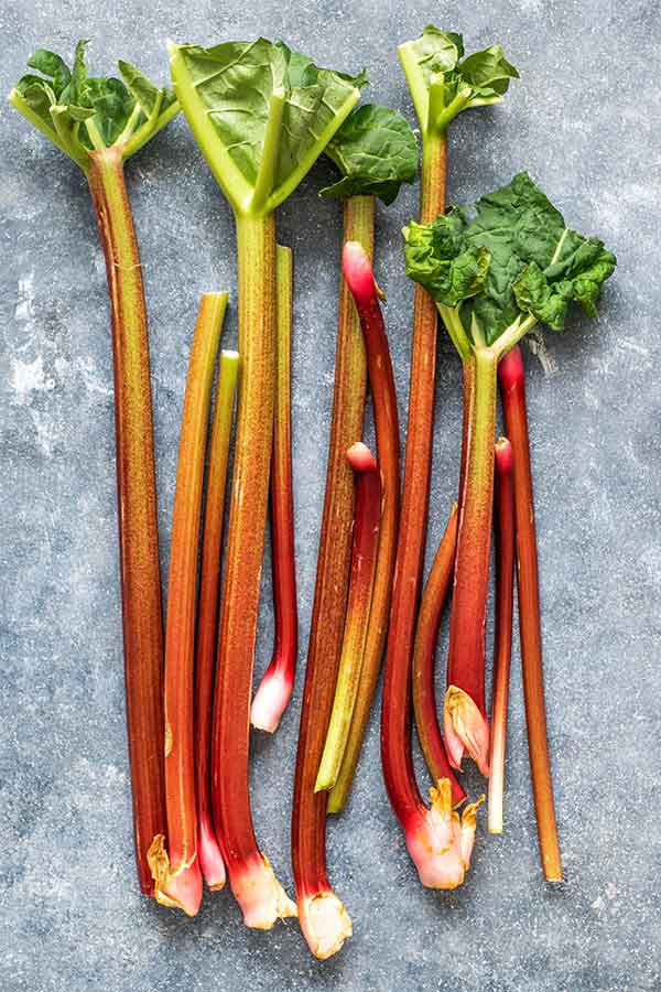 Rhubarb : CRIMSON RED 3 ¼ pot