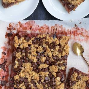 Gluten-Free Strawberry Oatmeal Bars with Chocolate