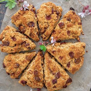 Gluten-Free Cranberry Oat Scones