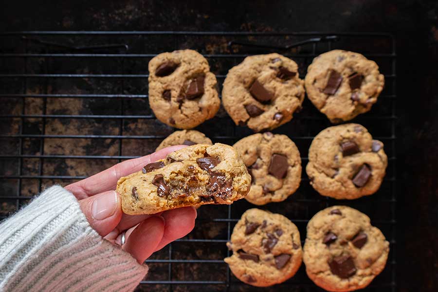 gluten-free chocolate chip cookie in a hand