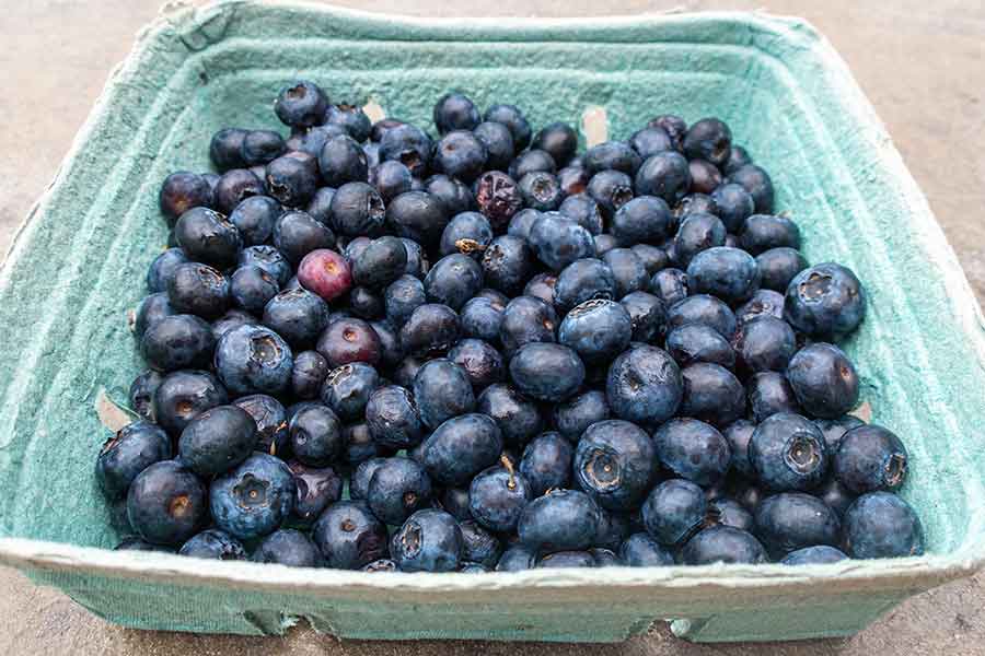 fresh blueberries for chia muffin