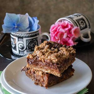 Gluten-Free Chocolate Mocha Oat Bars