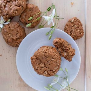 Gluten-Free Peanut Butter Oatmeal Cookies