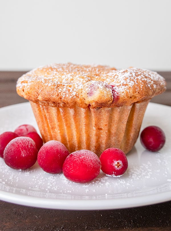 Gluten-Free Low Fat Cranberry Muffins