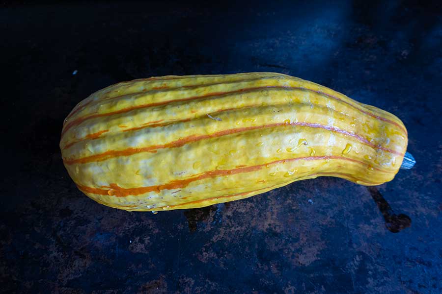 delicata squash