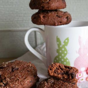 Double Chocolate Soft Cookies – Gluten Free