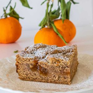 Gluten-Free Apricot Linzer Squares