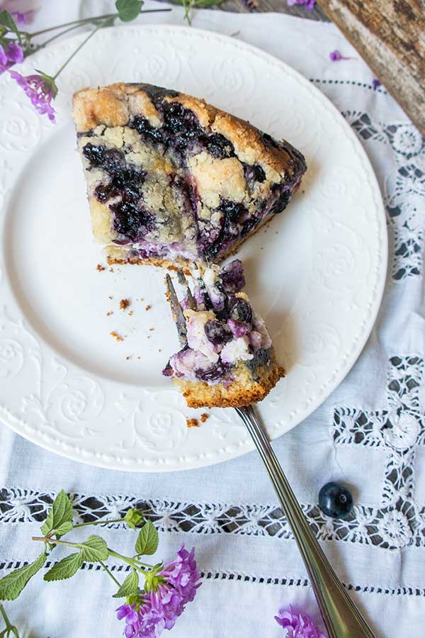 gluten free blueberry coffee cake on a plate