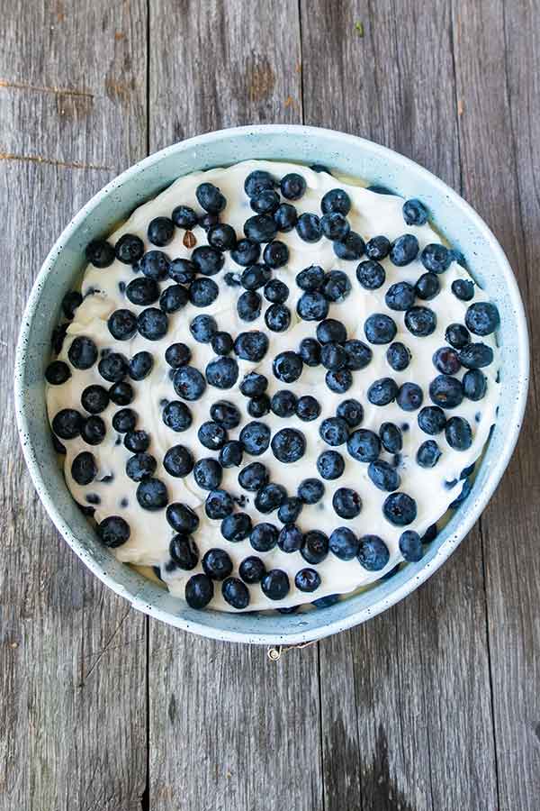 springform pan filled with cake batter topped with blueberries