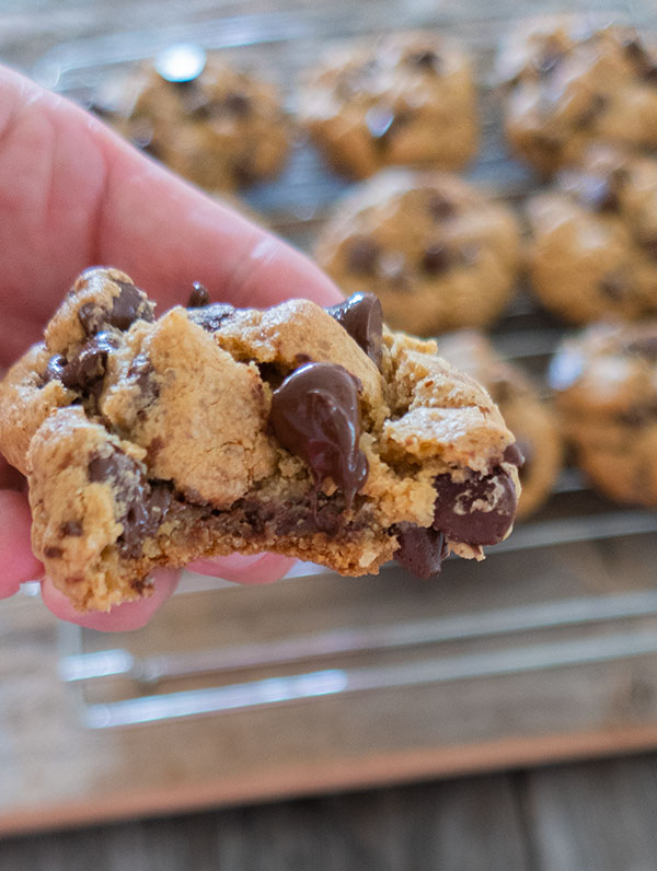 gluten-free chocolate chip cookies