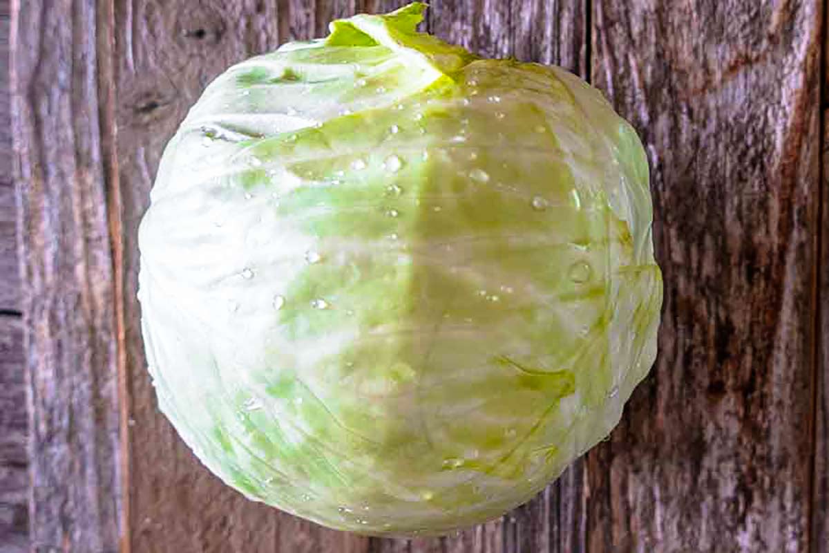 raw whole cabbage