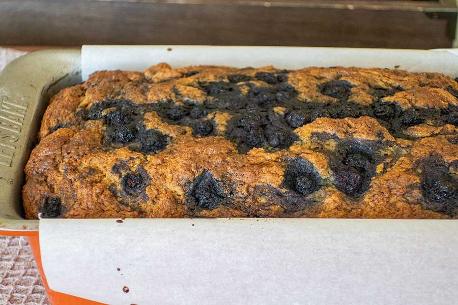 blueberry cornbread in a loaf pan